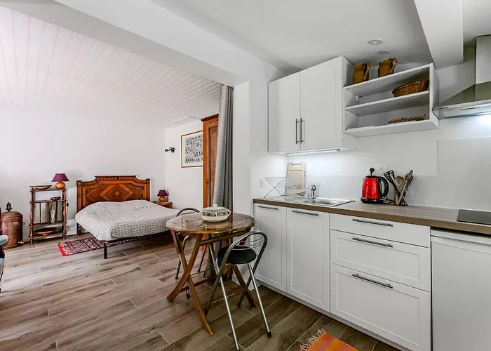 Tatil Evi : Dependance Charmante A 400 M De La - Fr-1-433-140 Arcachon